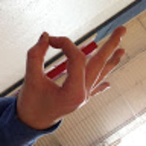 Meet your Posher, Alican